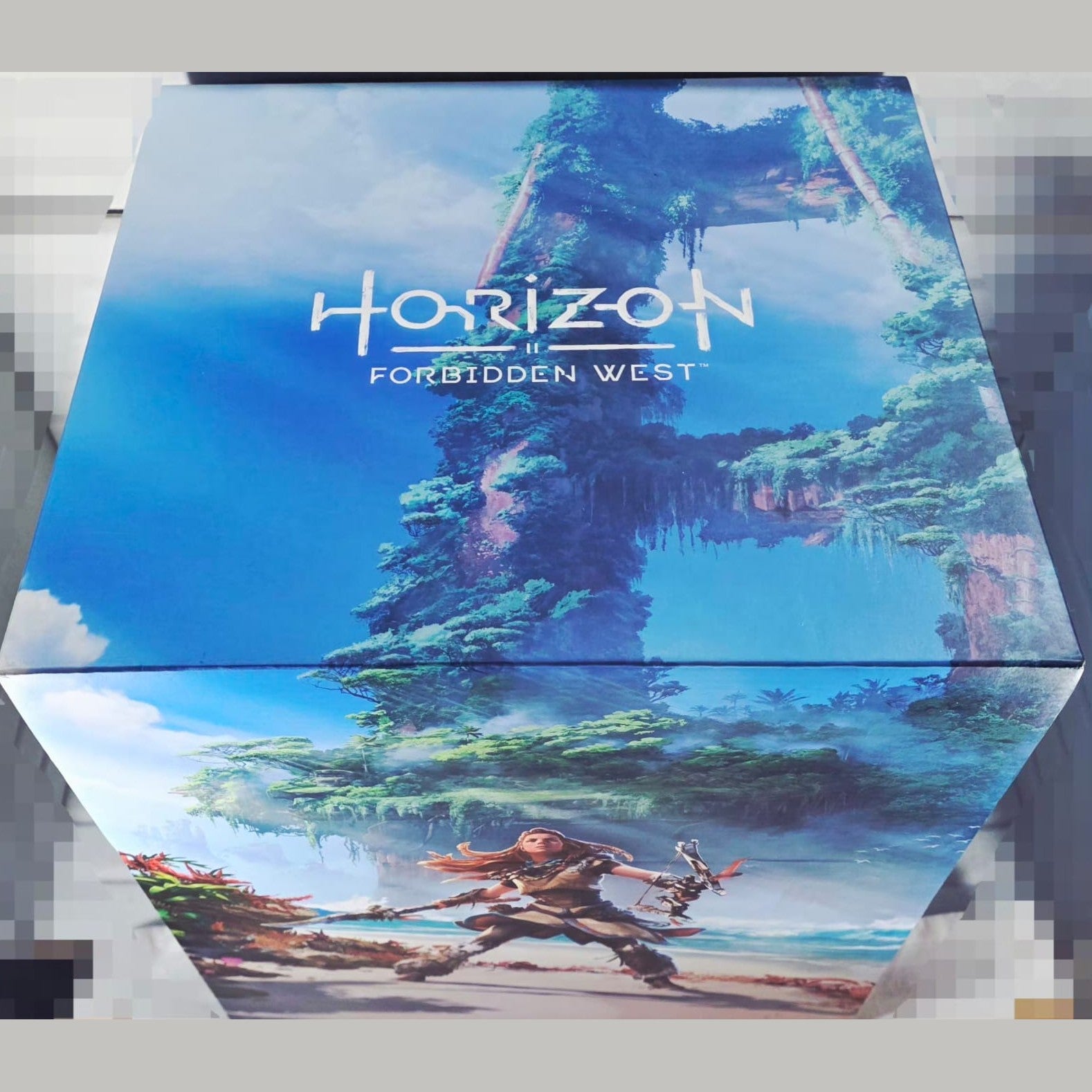 Horizon Forbidden West Collector's Edition - box lid artwork