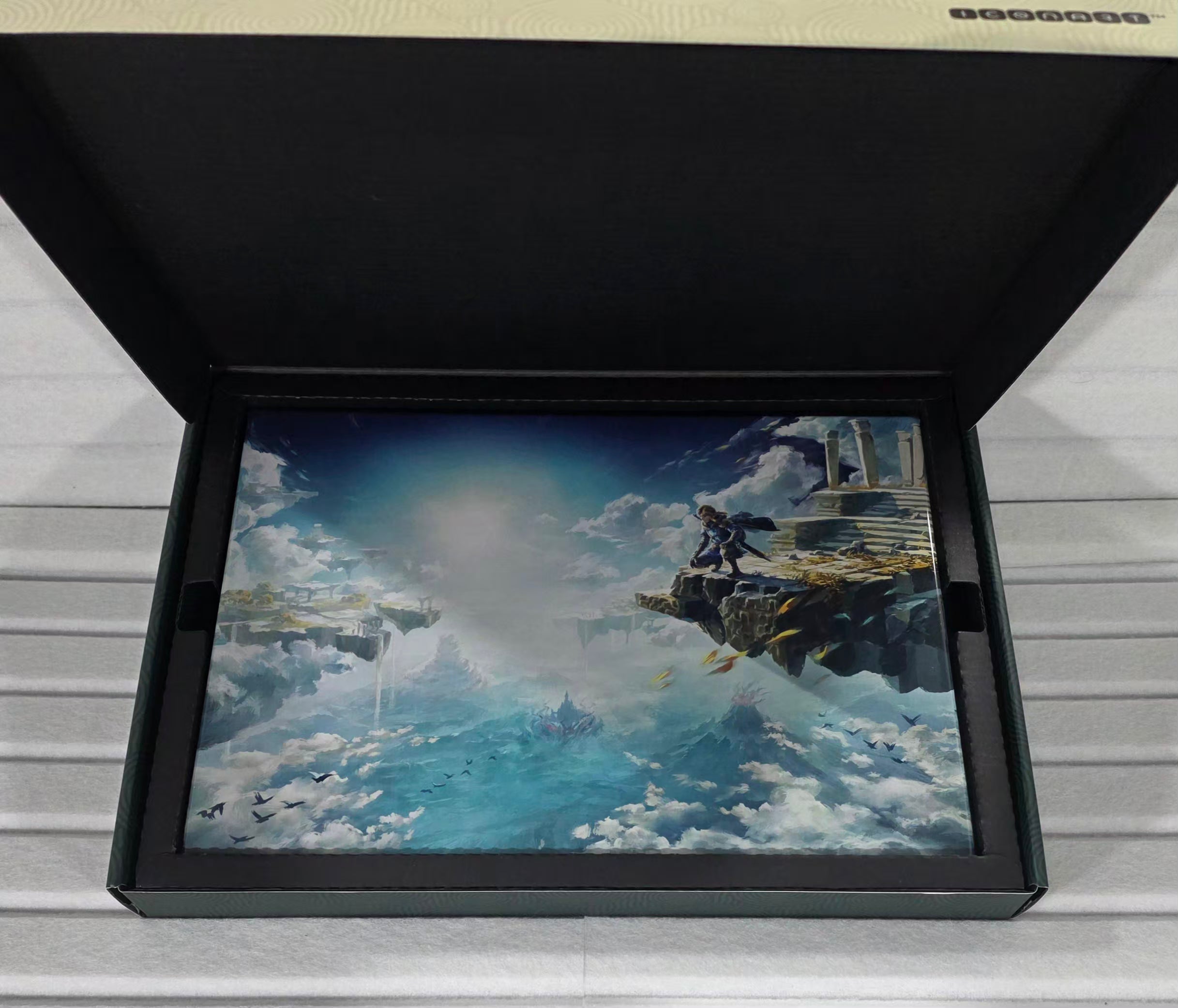 The Legend of Zelda: Tears of the Kingdom (Collector's Edition) *MINT* (RF)