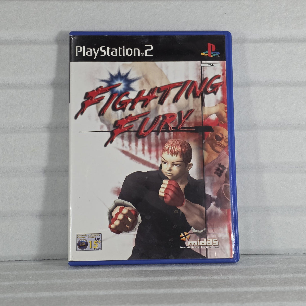 Fighting Fury - PS2